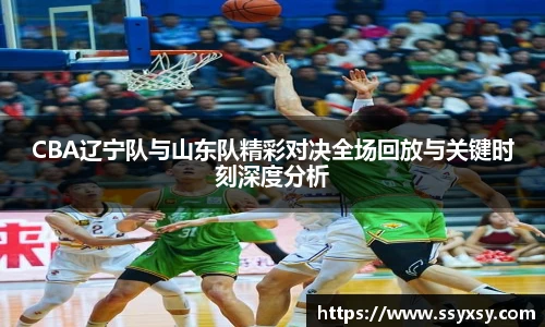 CBA辽宁队与山东队精彩对决全场回放与关键时刻深度分析